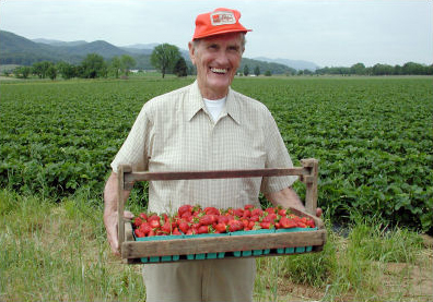 Wayne Scott of Scott's Farms with some of his product in a Food City 
stores publicity photo.
Jeff Keeling/Johnson City Press